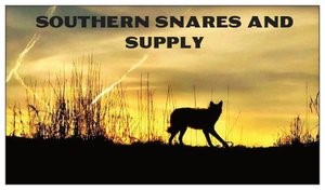 Southern Snares