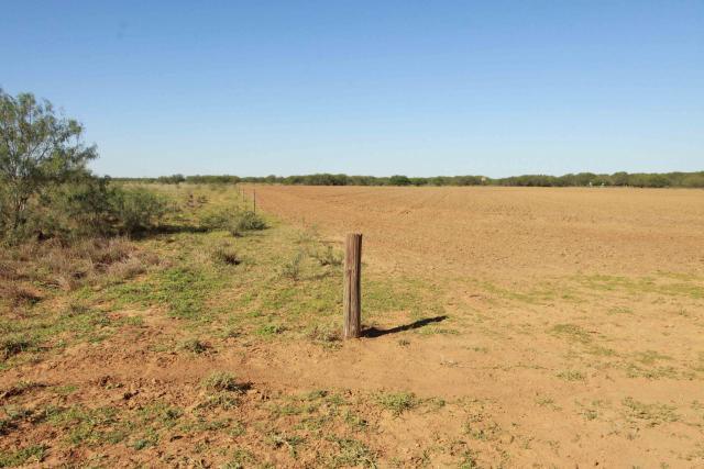 Trapper Sets traps in a field and then stops checking them – Fox