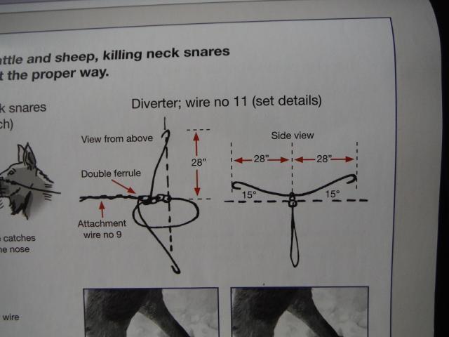 Wolf Snare Diverters - Trapperman Forums