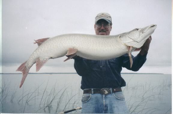 Big catfish bait - Trapperman Forums
