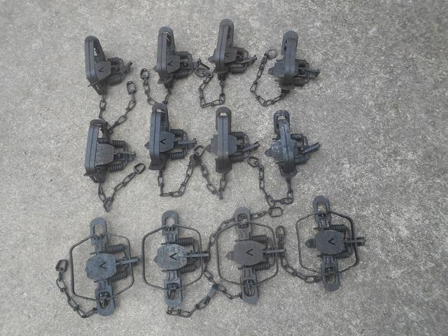 12 NUMBER 2 VICTOR DOUBLE COIL SPRING TRAPS - Trapperman Forums