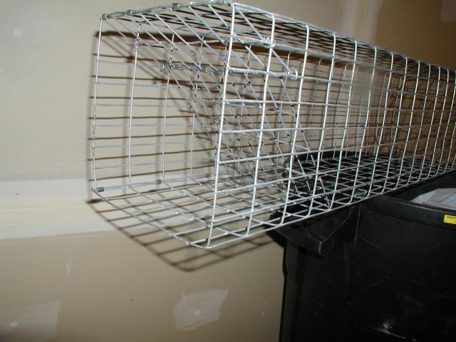 Animal Trap 8 X 8 X 24 Squirrels, Muskrats