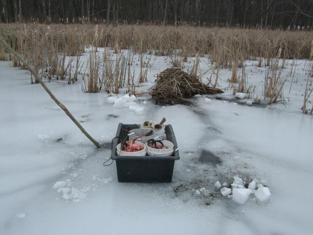 Product Review: The Otter Sled - Trapping Today