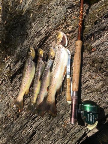 Try Slowing It Down for Trout! Super Duper Lures 😃 #fishing