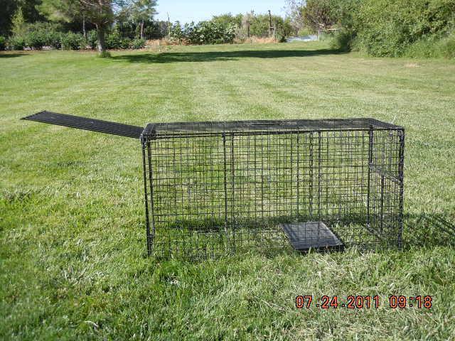 LifeSupplyUSA Heavy Duty Catch Release Large Live Humane Animal Cage Trap for Foxes, Raccoons, Badgers, Coyotes 42x15x15