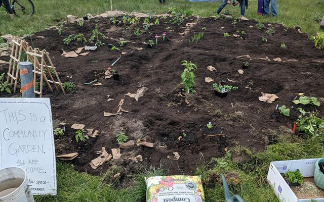 Wisconsin Gardening Forum