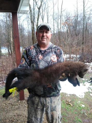 Fisher Weasel in PA