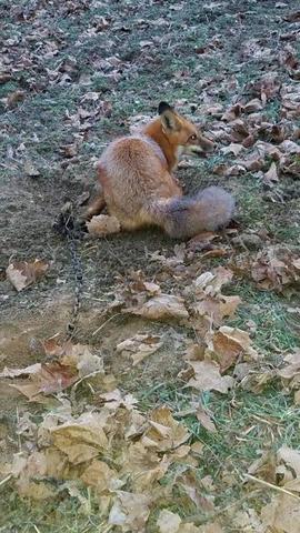 [Linked Image]
