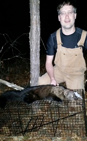 Live trapping ficher? - Trapperman Forums