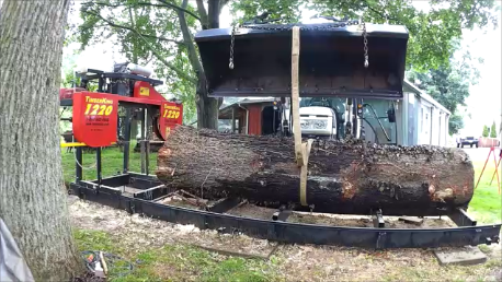 TimberKing Full-Auto Sharpener - TimberKing