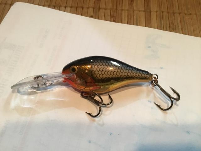 Shad rap color . - Trapperman Forums