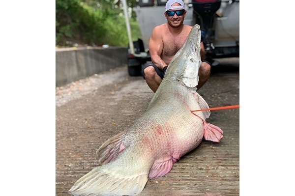 Alligator gar skin on sale boots