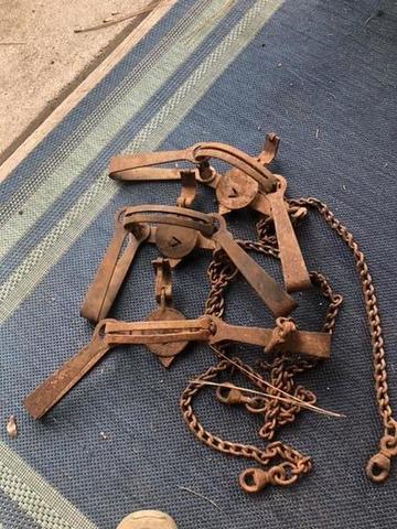 [Linked Image]