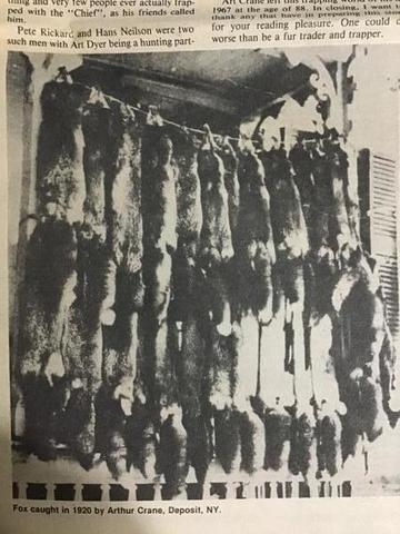 [Linked Image]