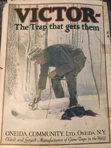 [Linked Image]