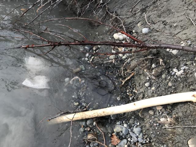 Beaver Traps Behind Snakland