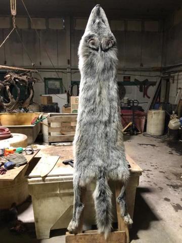 [Linked Image]