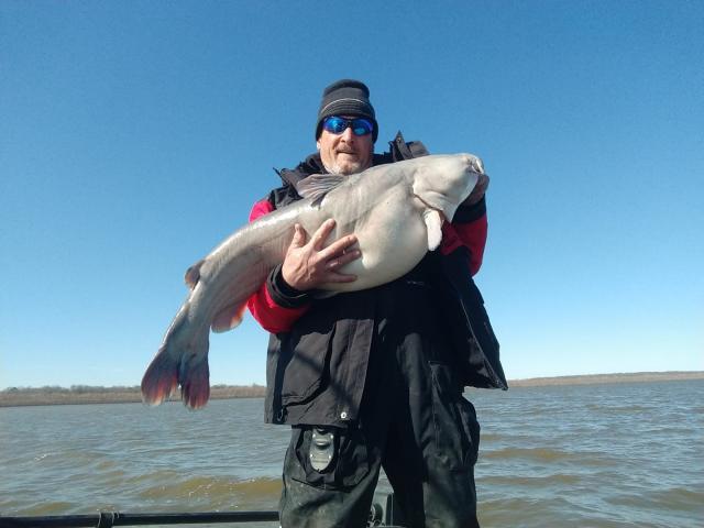 Big catfish bait - Trapperman Forums