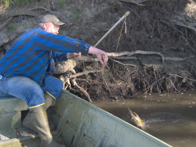 How to Make Fiberglass Bank Poles for Big Catfish - diddy poles