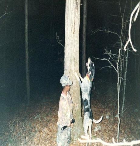 A coon hunter's story - Trapperman Forums
