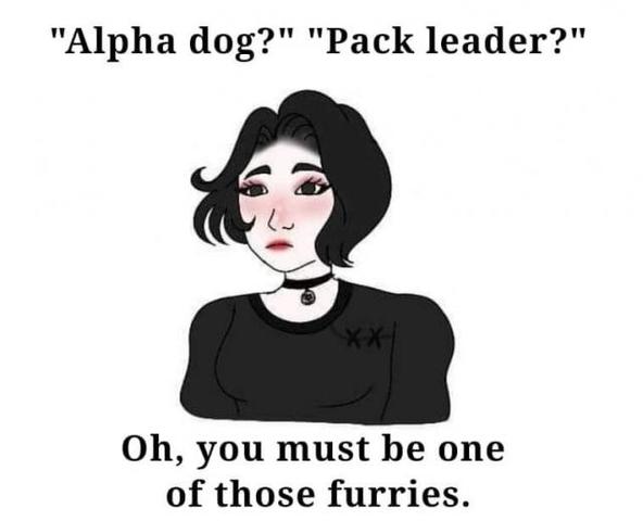 [Linked Image]