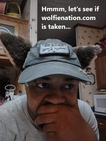 [Linked Image]