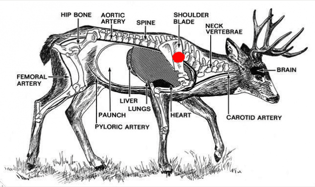[Linked Image]