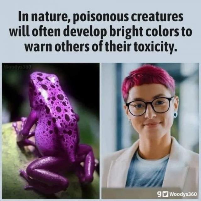 [Linked Image]