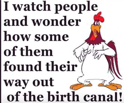 [Linked Image]