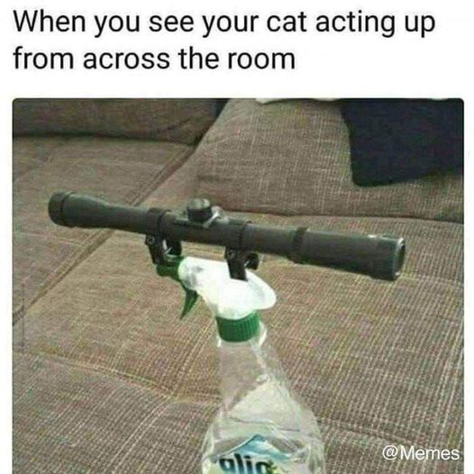 [Linked Image]
