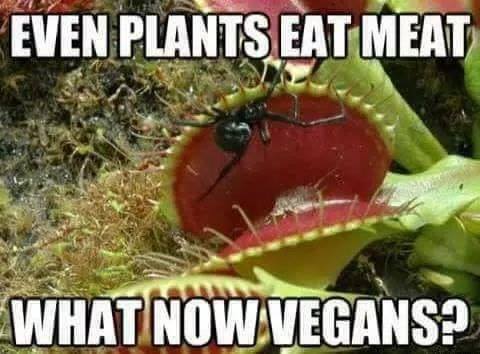 [Linked Image]