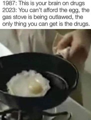 [Linked Image]