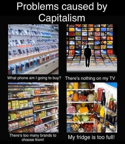 [Linked Image]