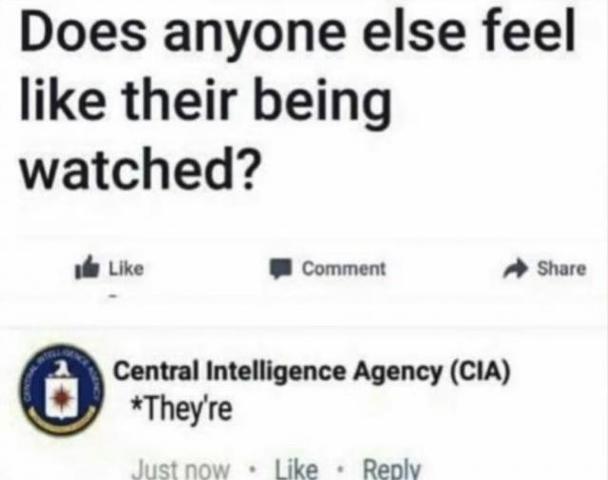 [Linked Image]