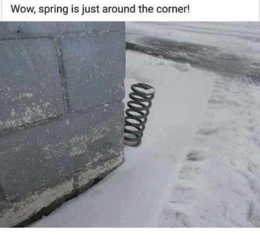 [Linked Image]