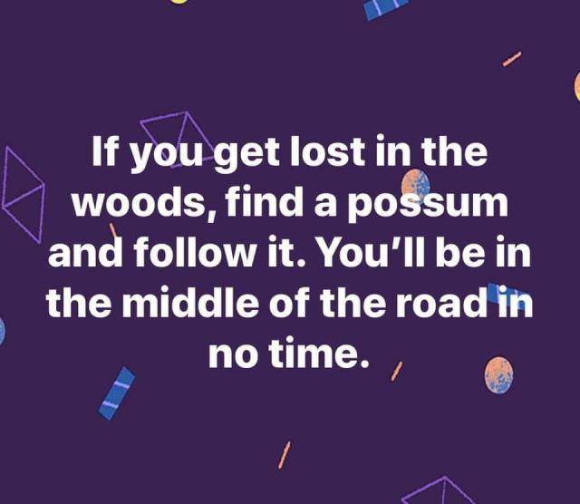 [Linked Image]