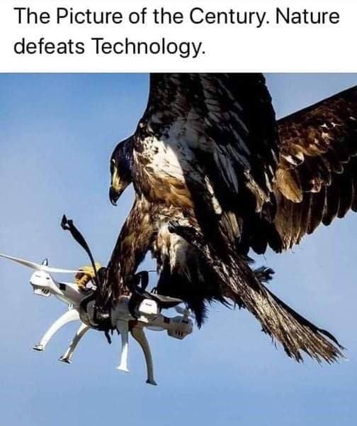 [Linked Image]