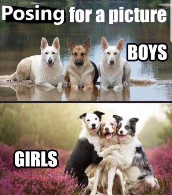 [Linked Image]