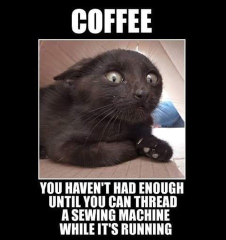 [Linked Image]