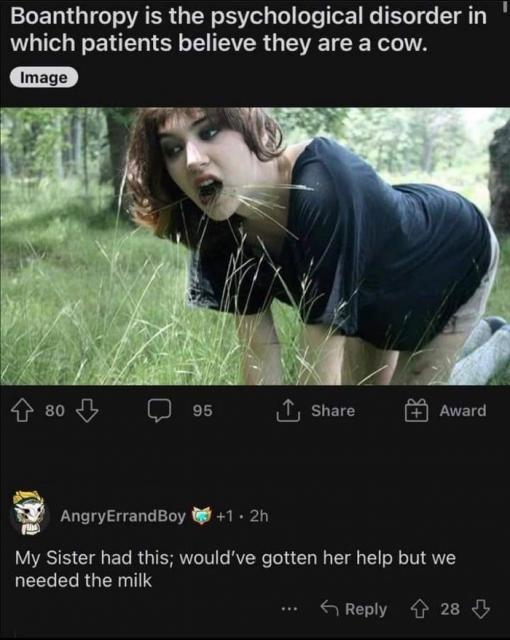[Linked Image]