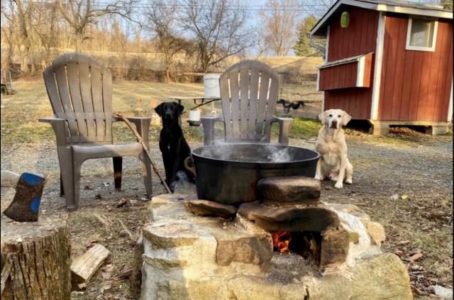 Building the Ultimate winter dog house? - Trapperman Forums