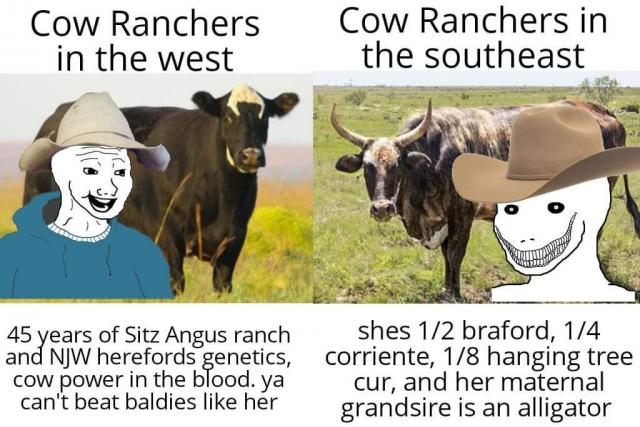 [Linked Image]