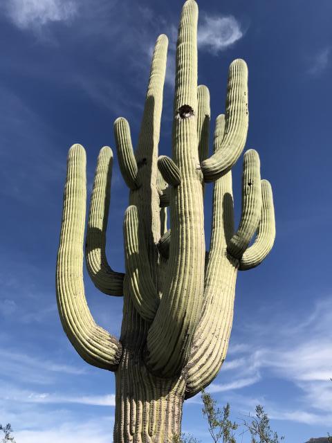 [Linked Image]