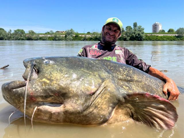 You Call That a Catfish? - Trapperman Forums