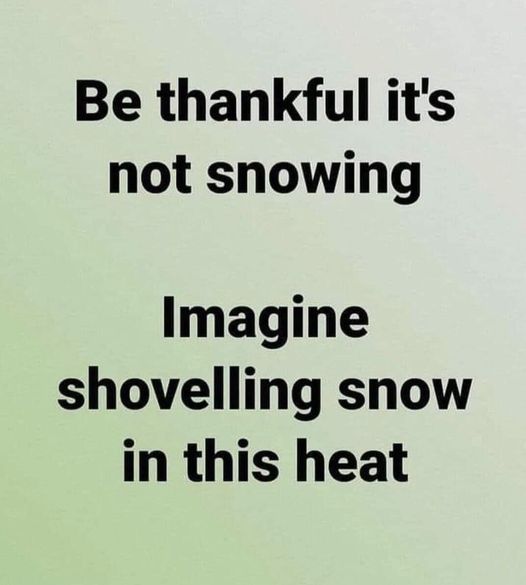 [Linked Image]