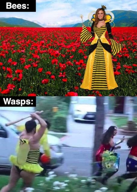 [Linked Image]