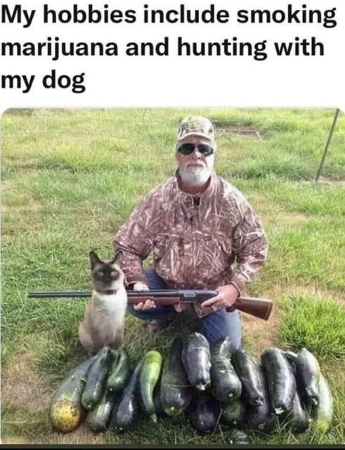 [Linked Image]