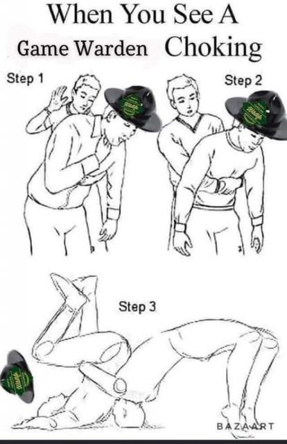 [Linked Image]