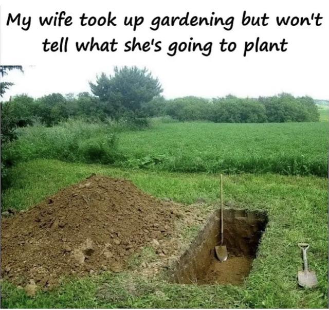 [Linked Image]