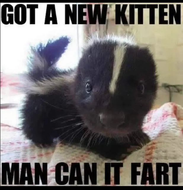 [Linked Image]